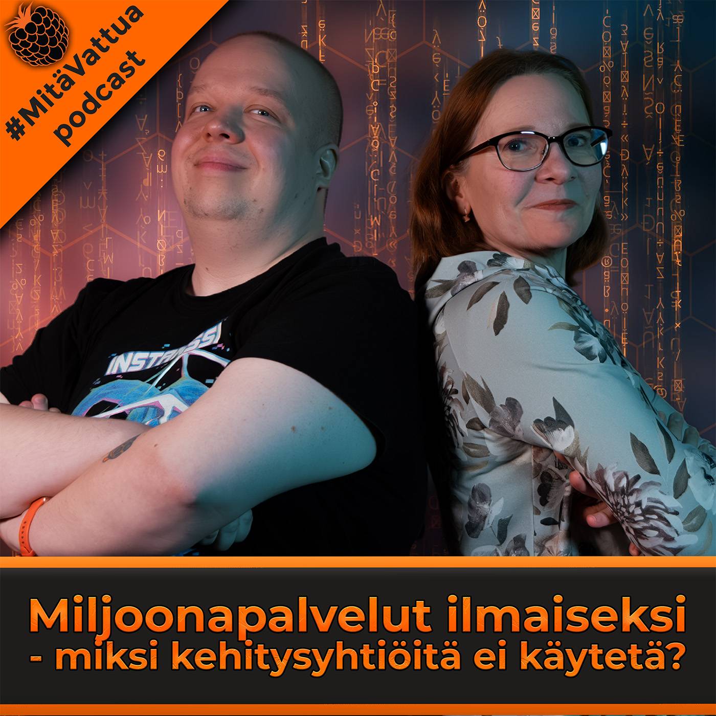 Miljoonapalvelut ilmaiseksi - Miksi kehitysyhtiöitä ei käytetä?
