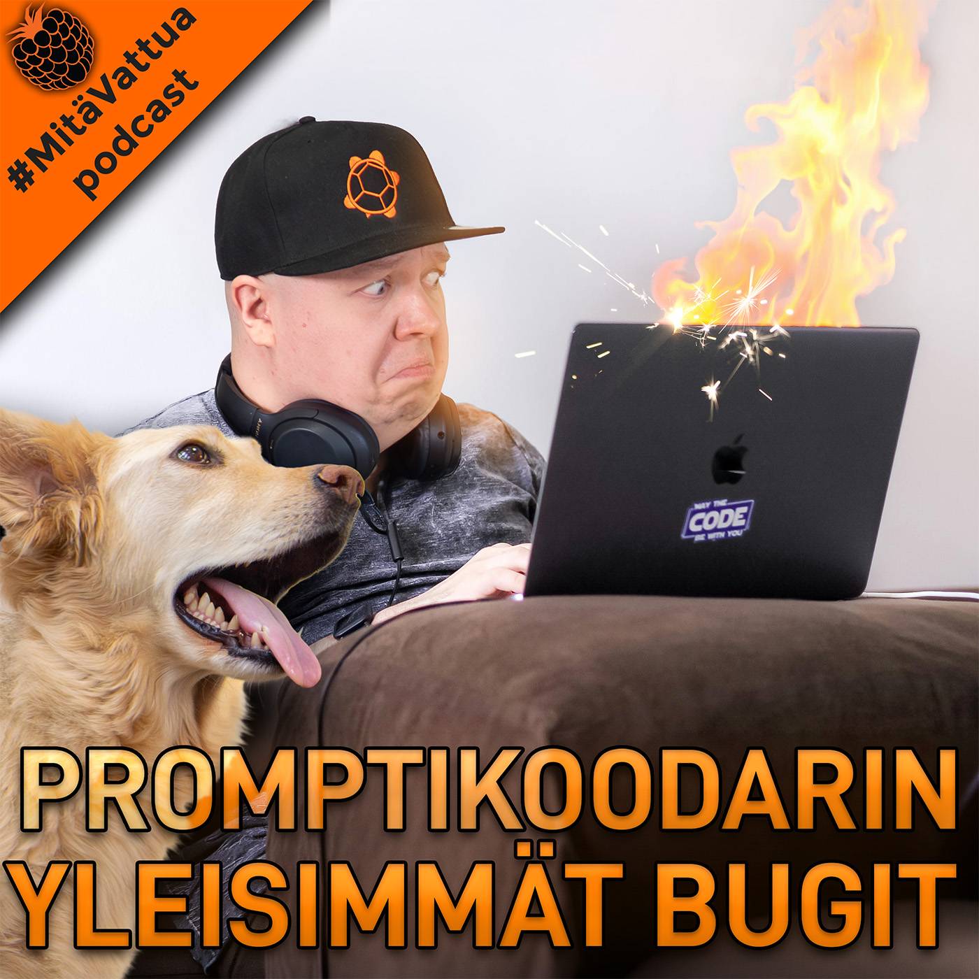 Promptikoodarin yleisimmät bugit episode artwork
