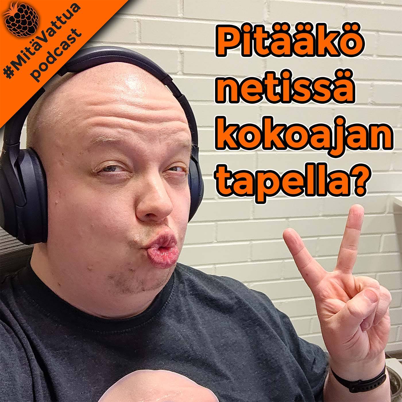 Pitääkö netissä kokoajan tapella episode artwork