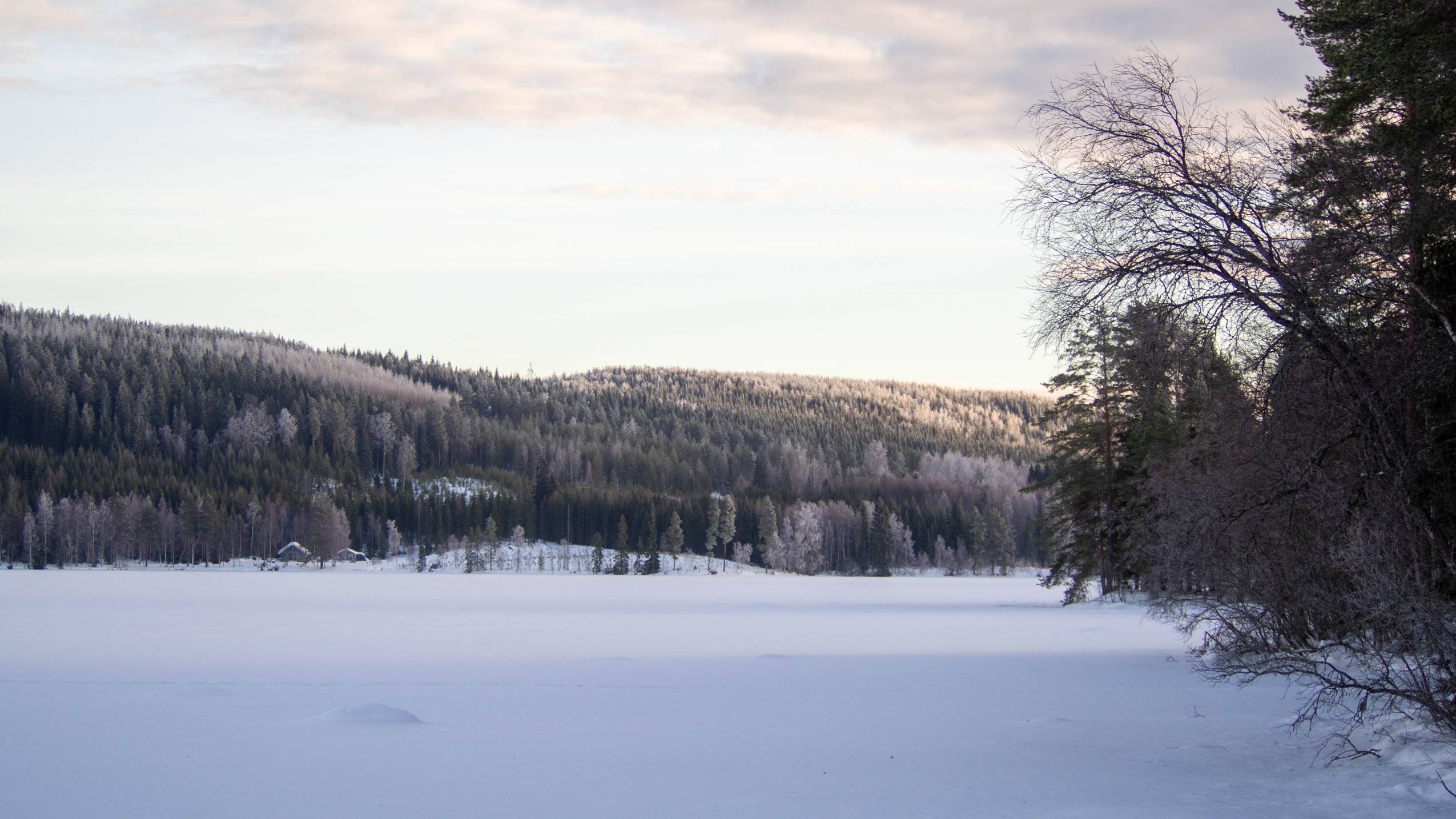 Hiihtopassi
