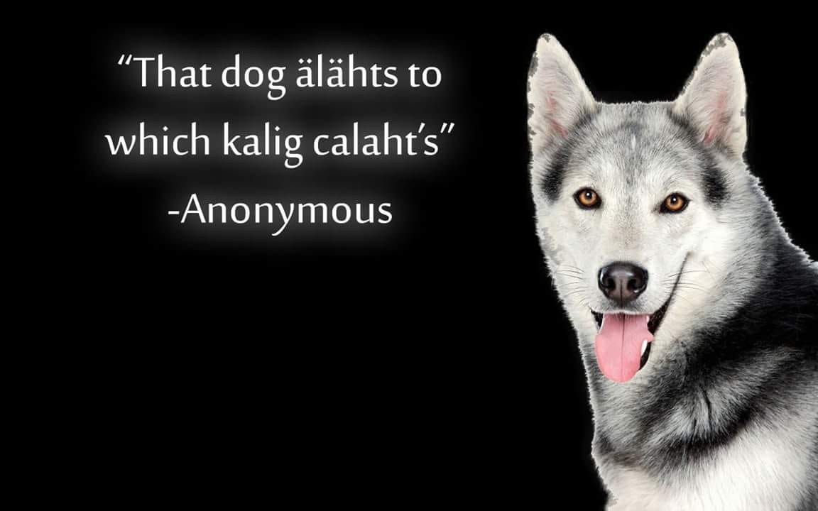 That dog älähts to which kalig calaht's