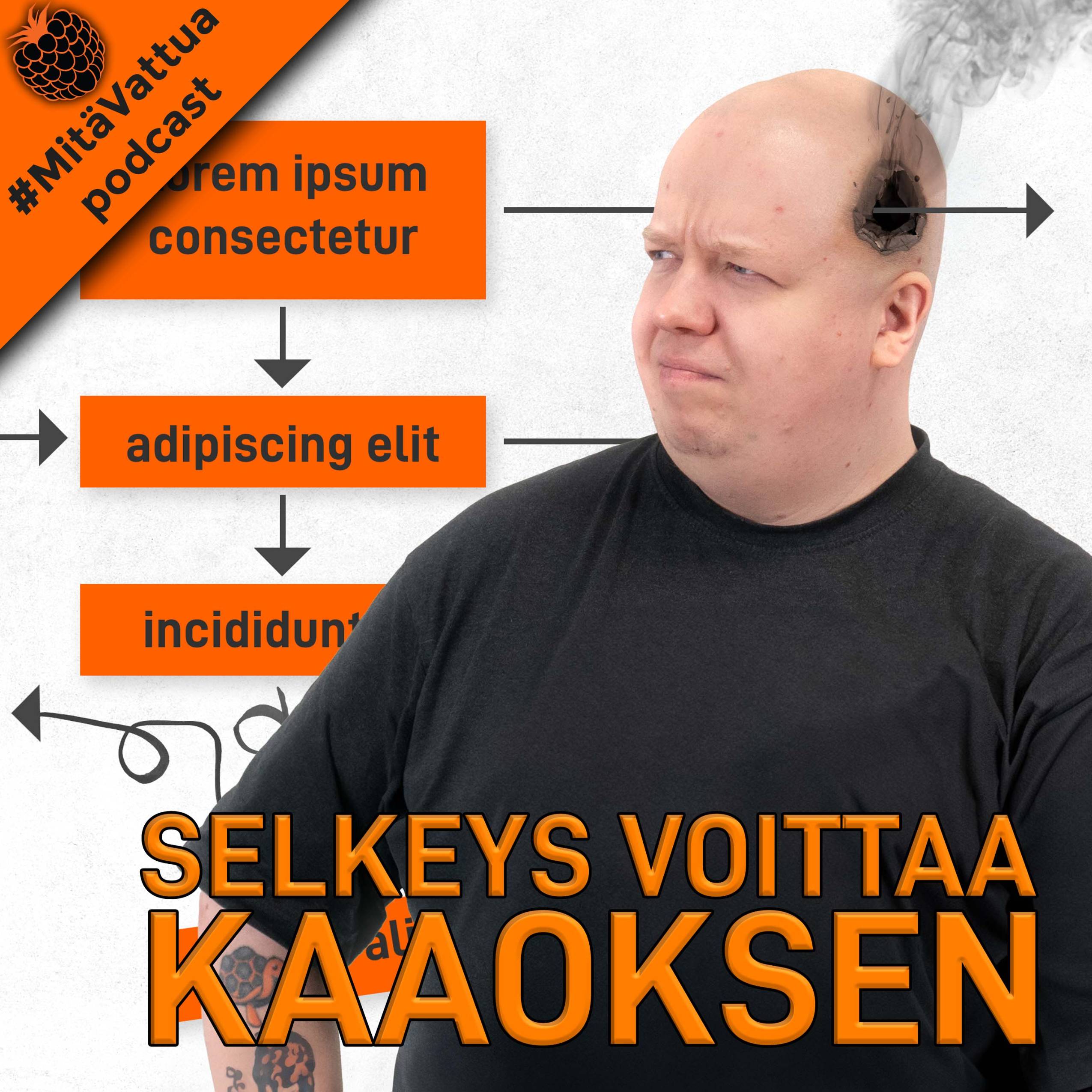 Selkeys voittaa kaaoksen episode artwork