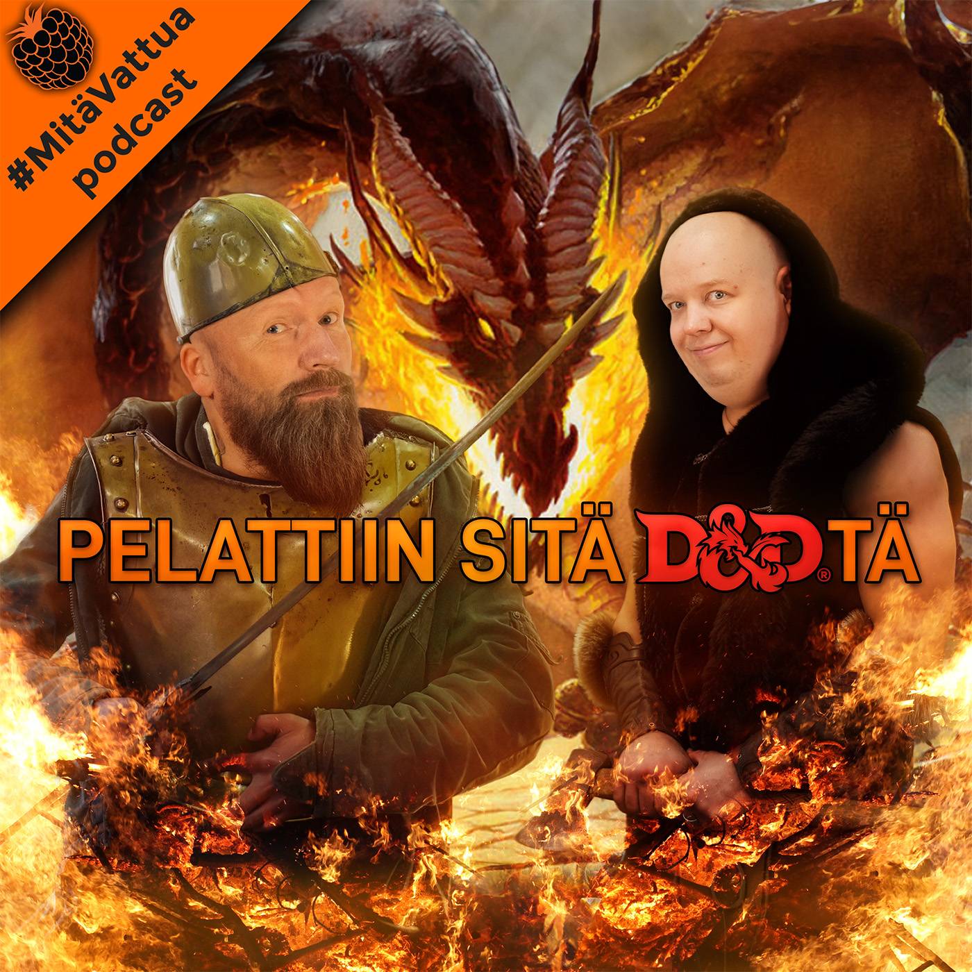 Pelattiin sitä DnDtä episode artwork